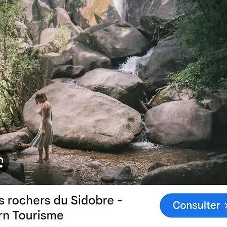 Maison Campagne Vue Sur La Foret Lacaze